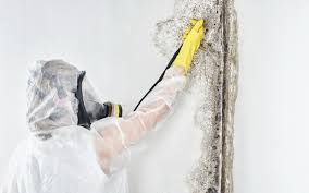 Best HVAC Mold Inspection and Cleaning  in Southmayd, TX